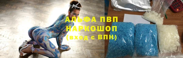 спиды Новозыбков