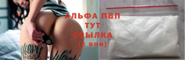 спиды Новозыбков