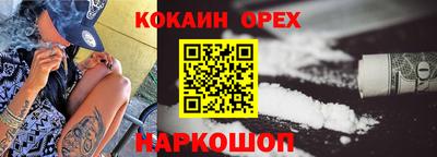 амф Гусев