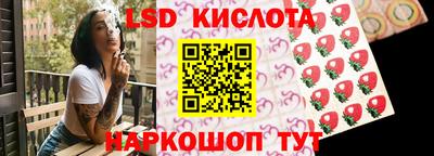 амф Гусев