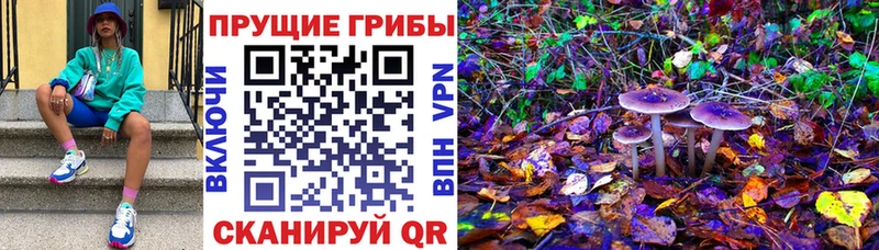 Псилоцибиновые грибы Magic Shrooms  как найти наркотики  Скопин 