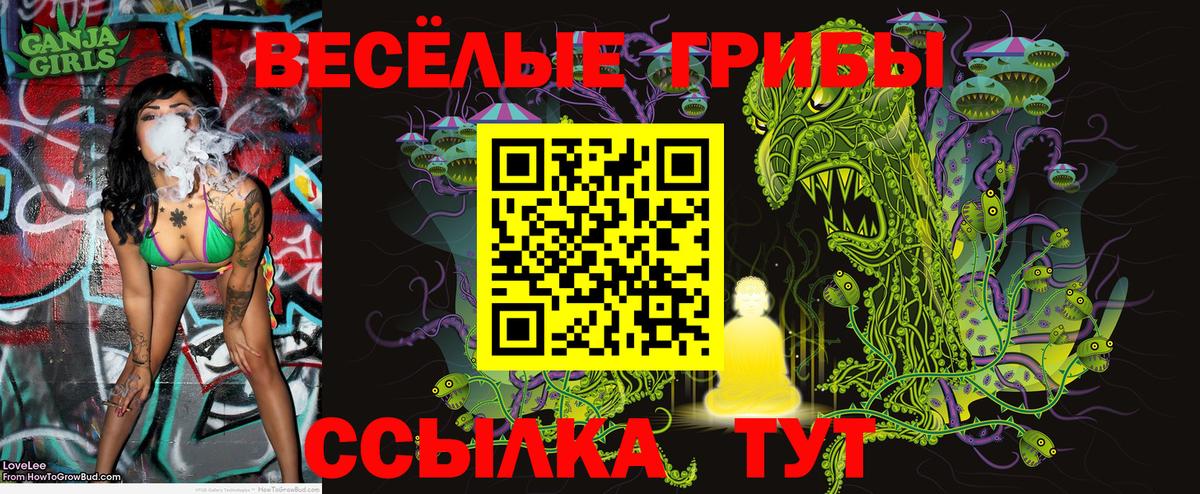 Псилоцибиновые грибы GOLDEN TEACHER  Скопин 