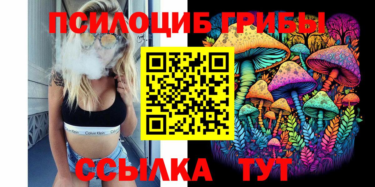 Галлюциногенные грибы Psilocybe Скопин