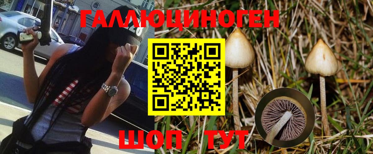 Псилоцибиновые грибы Cubensis  Вход с VPN  Псилоцибиновые грибы Psilocybine cubensis  Скопин 